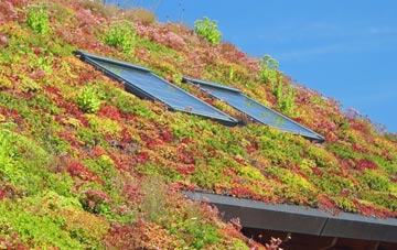 Kempston Church End living roof systems